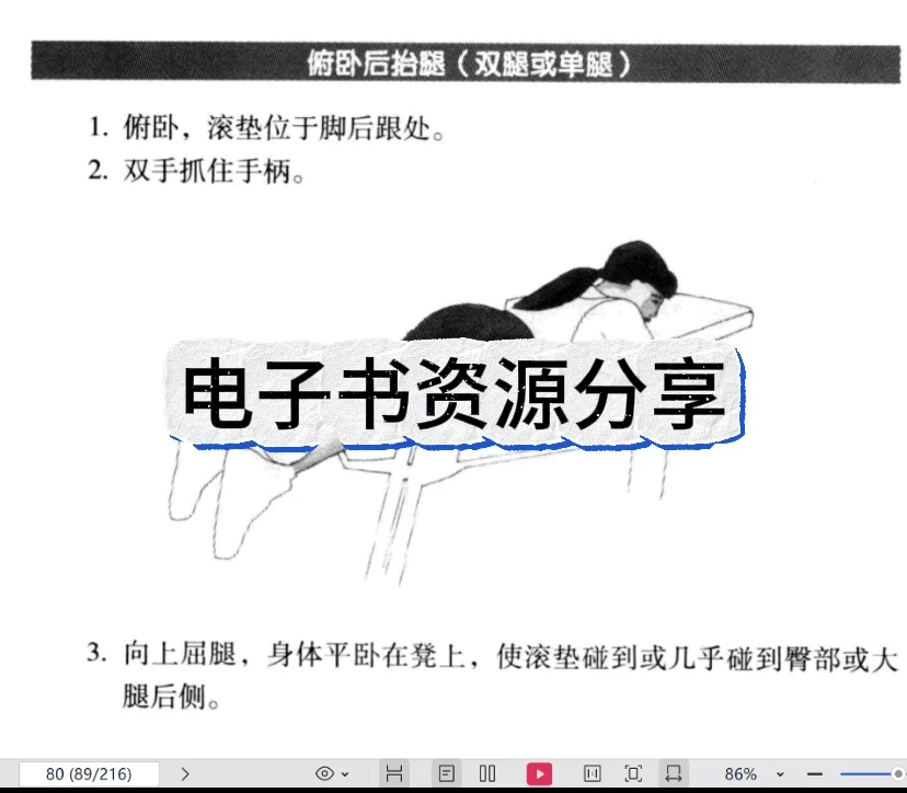 青少年篮球运动员体能训练特征包括_1
